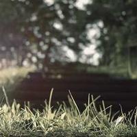 曾姐盛家小程序码